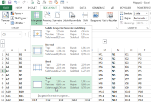 EXCEL: Sideopsætning til udskrivning